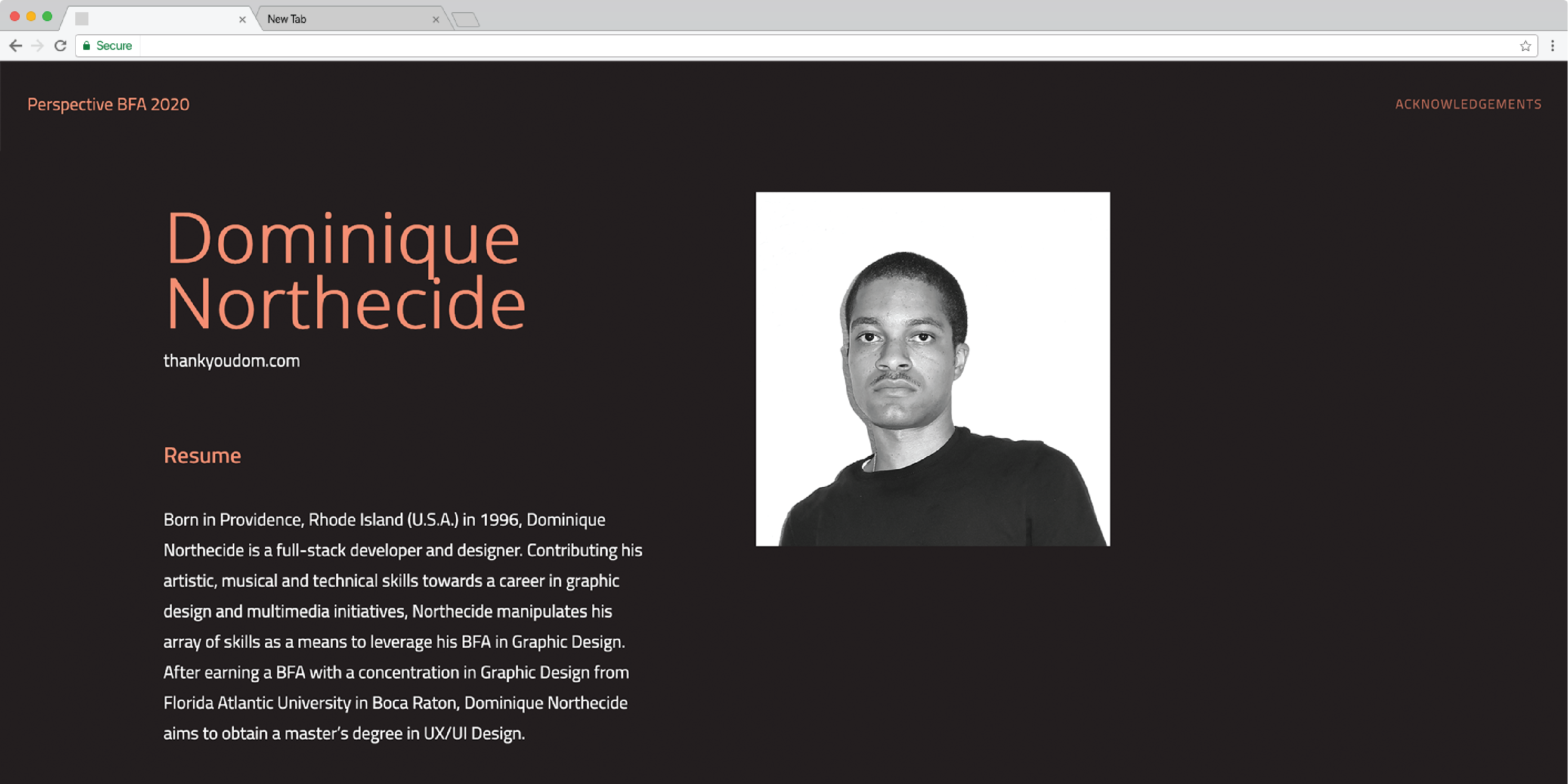 Large example image placeholder